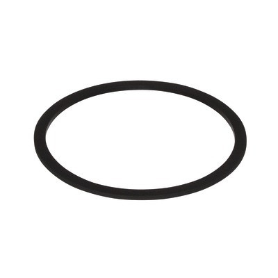 Joint plat- SAUNIER DUVAL - 0020221829
