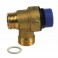 Pressure relief valve - DIFF for Saunier Duval : S1205500