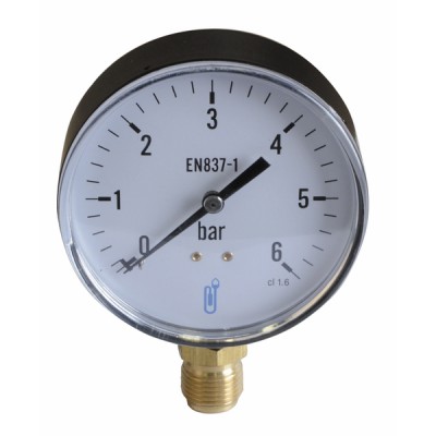 Water & air pressure gauge 0/6 bar ø100mm - DIFF