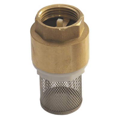Foot valve with inlet filter, all positions 3/4? - DIFF