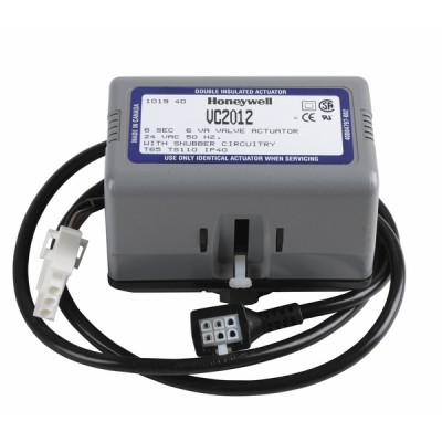 Électrode spécifique BM101A201 - INTERCAL : 700650050