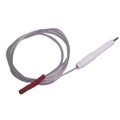Zündelektrode mit kabel  - AOSMITH: 0301088
