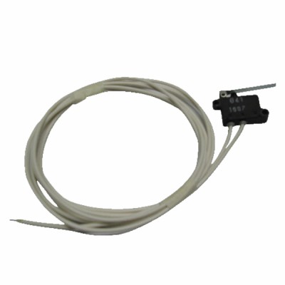 Microswitch Maior-Super-Eco - IMMERGAS : 1.6696