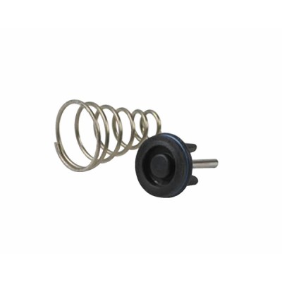 Panel and heating spring - RIELLO : 4363926