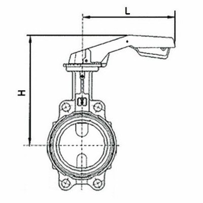 Butterfly valve with DN50 cast iron centring disk - BURACCO : CL623B050ICCL