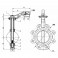 Lug butterfly valve D50 - DIFF