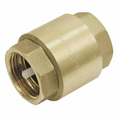 Brass all-position non-return valve nylon valve 1 1/2 - DIFF