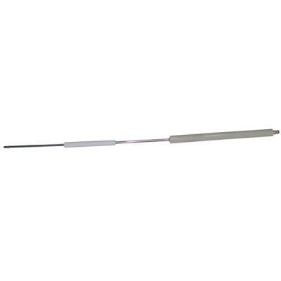 Specific electrode rs 28 long head  - RIELLO : 3003851