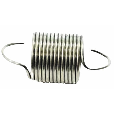 Resorte - VAILLANT : 0020107698