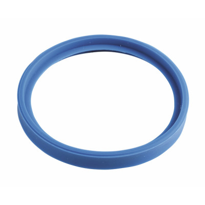 Gasket dn60 for pps - DE DIETRICH CHAPPEE : 0291613