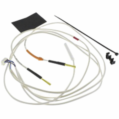 Temperature probe unit  - ATLANTIC : 029279