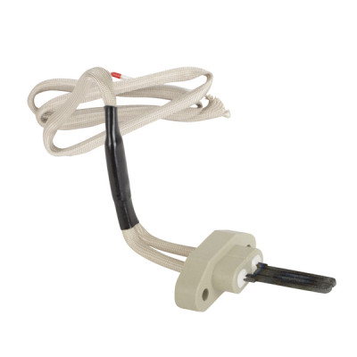 Service kit for ignition - AOSMITH : 0303493(S)