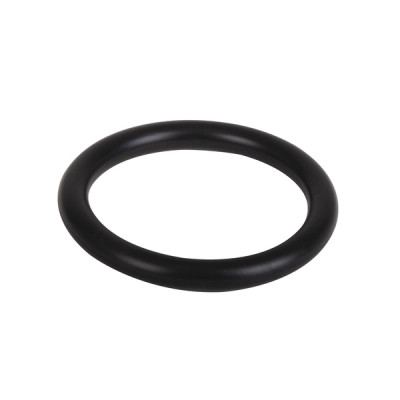 Junta tórica  - AOSMITH : 0304741(S)