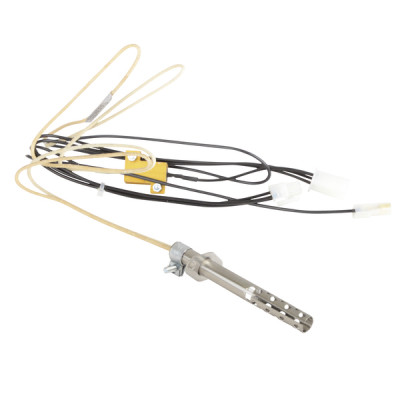 Service kit for ignition - AOSMITH : 0307309(S)