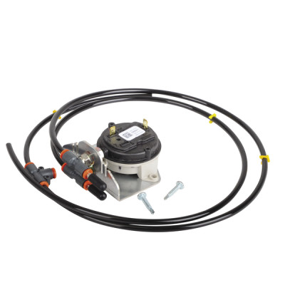 Interruptor de control del aire  - AOSMITH : 0309169(S)