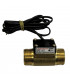 Flow switch mm1"- DIFF - 100196