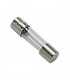 Fusible 2A- DIFF - 100219  - (X10)