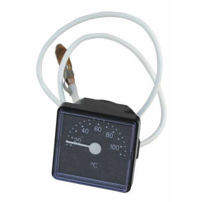 Thermomètre - VAILLANT : 101542