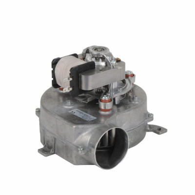 Ventilador - IMMERGAS : 1.017998