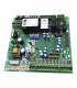 Control board (ex 1.011822) - IMMERGAS : 1.018345