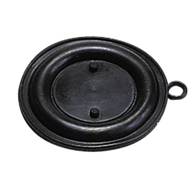 Membrana (X 10) - DIFF para Saunier Duval : 05404400