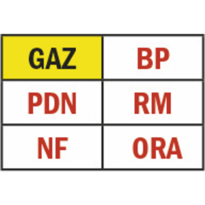Électrovanne gaz M16 RM NF 500mb FF3/4" 230Vac - MADAS : CM03C 008