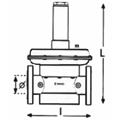 Rc03 2 safety diaphragms ff3/4" - MADAS : RC0304 020