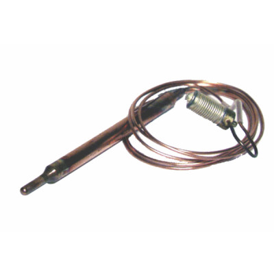 Tren termostatico 0.928.566 - SIT : 0 928 566