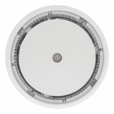 DAAF 10 AÑOS EVACUATE MINI - EVACUATE : EVA033527