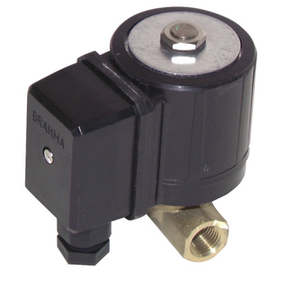 Electroválvula gas E 6G S8 FF1/4" - BRAHMA : 13752003