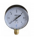 Water & air pressure gauge 0/6 bar ø100mm - DIFF