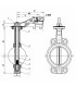 Wafer butterfly valve D100- DIFF - 110170