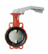 Butterfly valve with DN65 cast iron centring disk - BURACCO : CL623B065ICCL
