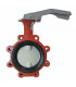 Butterfly valve with cast iron disk DN100 - BURACCO : CL623T100HCCL