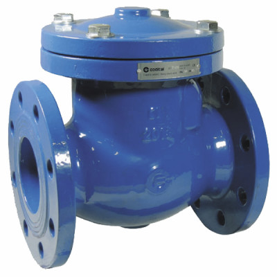 Clapet battant fonte DN50 - DIFF