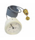 Round hydrometer imit (ex imm15030) - IMMERGAS : 1.6585