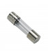 Fusible 250v 1.25a- DIFF pour Chaffoteaux - 61003635  - (X10)