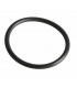 Gasket r36 viton (sensor v97) - FRISQUET : 240134