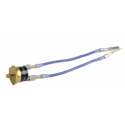 Safety swtich - VAILLANT : 251820