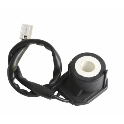 Coil - RIELLO : 3007481