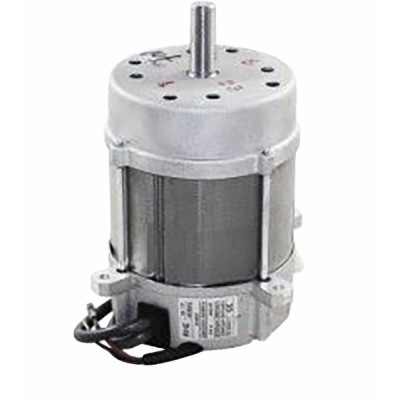 Moteur rg5d bs4 - RIELLO : 3008506