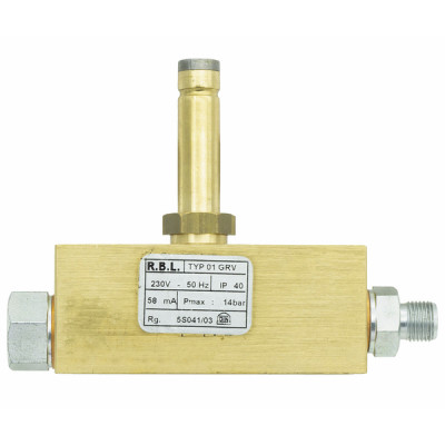 Bloc electrovanne rg5d - RIELLO : 3008569