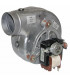 Fan assy- DIFF pour ELM Leblanc - 87167711010