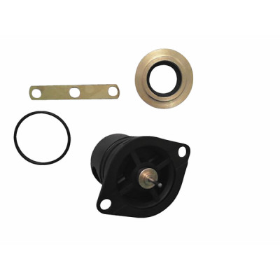 3-way valve service kit  - IMMERGAS : 3.014175