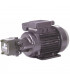 Groupe de transfert basse pression GAPA J6 BP- DIFF - 309042