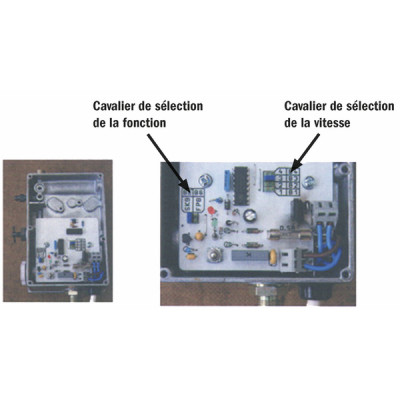 Bomba aspirante ECKERLE SK9E /FP8E - GOTEC : 110962