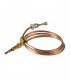 Thermocouple - FERROLI : 39801170