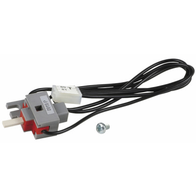 Microswitch         - FERROLI : 39801370