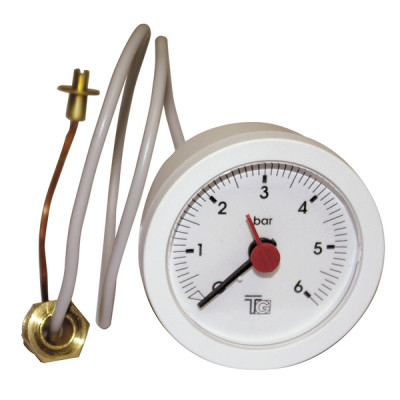 Pressure gauge - FERROLI : 39803890