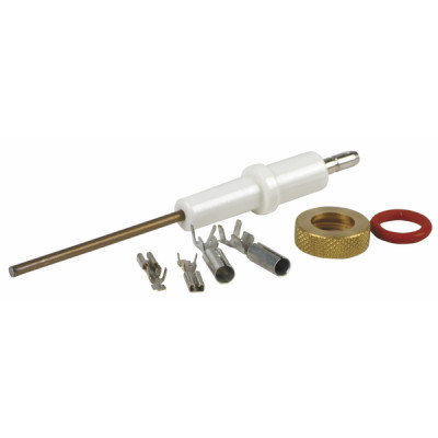 Electrodo de ionización ECONCEPT - FERROLI : 39806200